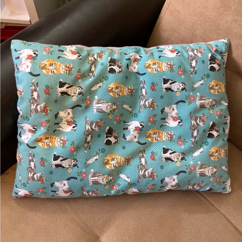 Catnip pillow with kitty boppy